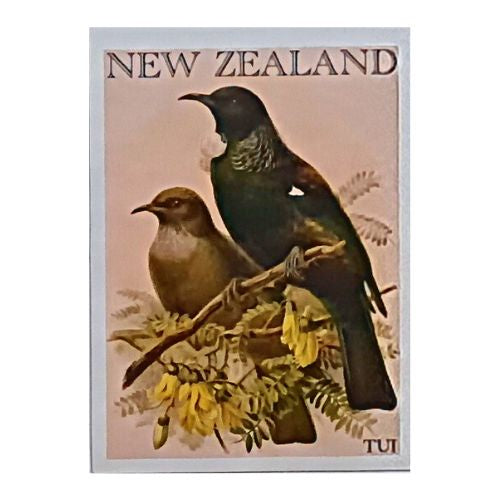 Art Magnet - Tui Pair
