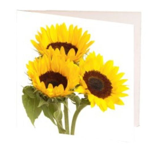 Sunflowers Gift Card