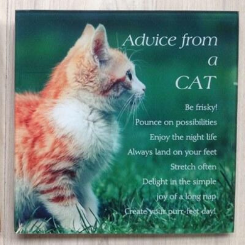 Advice from a Cat Plaque
