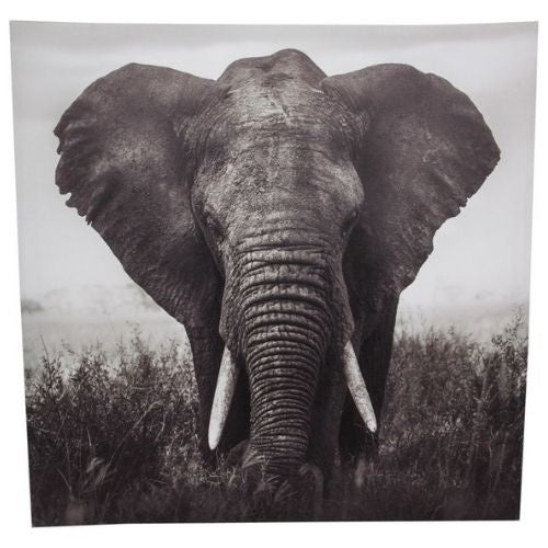 Elephant Canvas Print - Black & White - 50cm