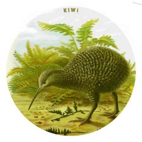 Prestige Kiwi Coaster