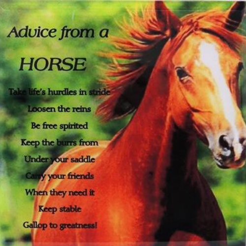 Advice from a Horse Plaque